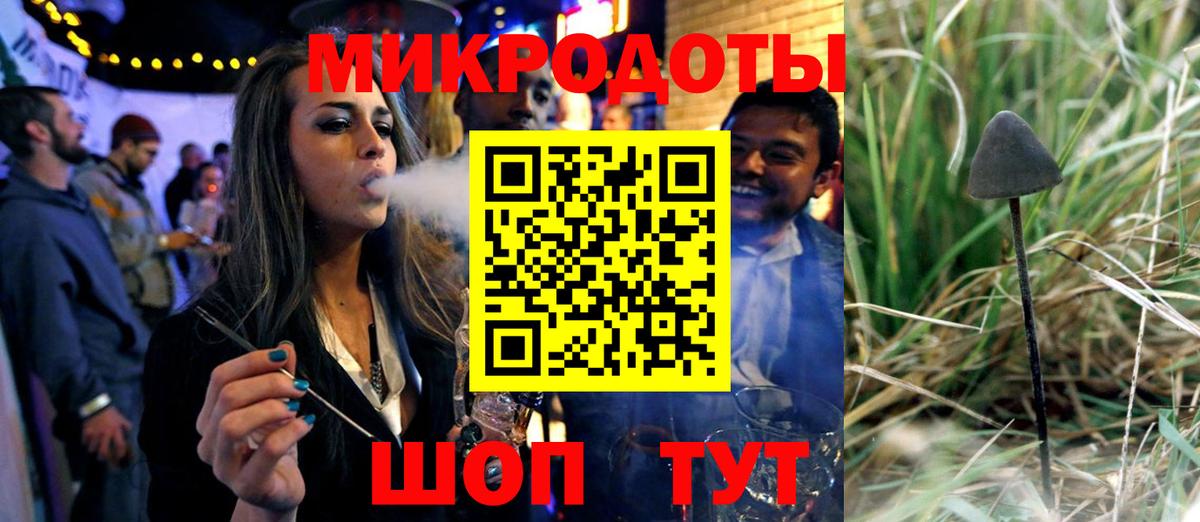 Псилоцибиновые грибы Psilocybine cubensis Энгельс