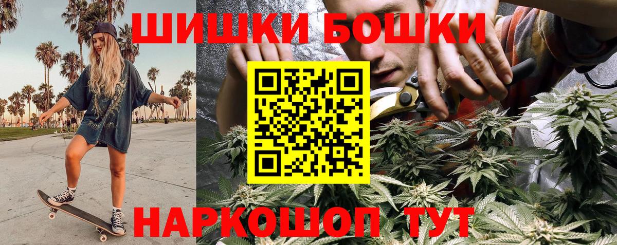 Марихуана сатива Энгельс